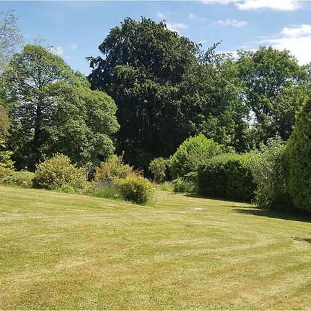 Cosy 2-Bed Property In Ashburton Dartmoor Newton Abbot Extérieur photo